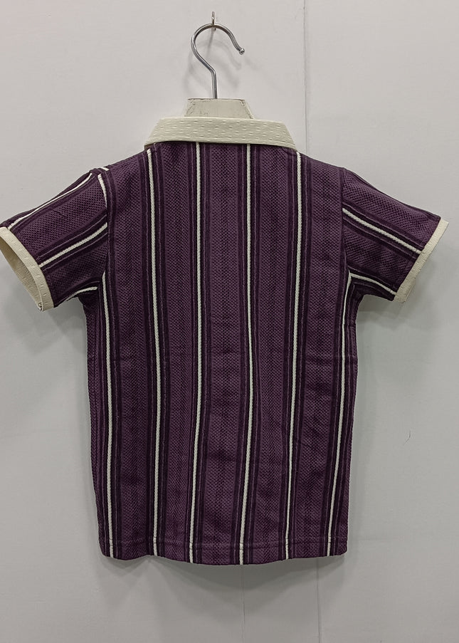 Boys Purple Striped Polo T-Shirt with Zip | Stylish Kids Casual Tee | He & She