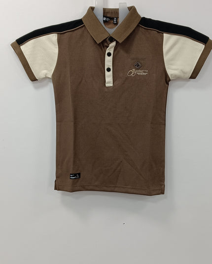Boys Brown Colorblock Polo T-Shirt with Collar | Casual Kids Wear | He and She
