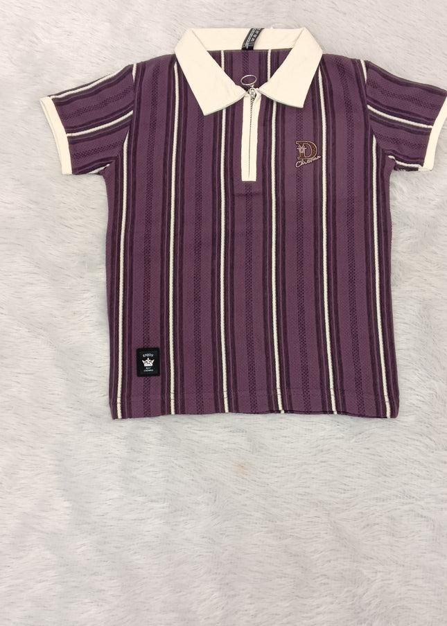 He and She Boys Purple Striped Polo T-Shirt | Casual Half Sleeve Cotton Kids T-Shirt