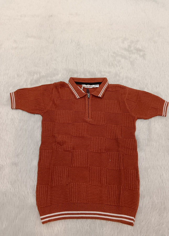 BOYS TSHIRT CODE-A317 Boys Rust Textured Knit Polo T-Shirt | Half Sleeve Casual Top