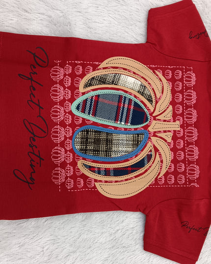 BOYS TSHIRT CODE-A375 Boys Maroon Printed T-Shirt | Stylish Graphic Half Sleeve Cotton Tee